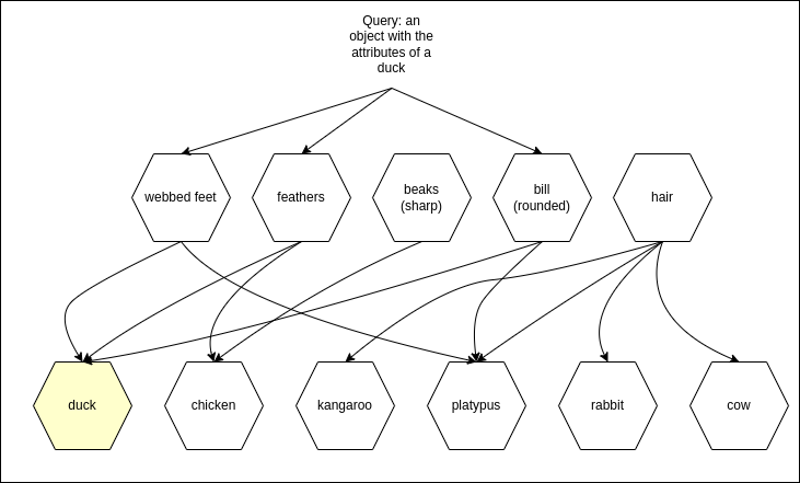 A query of a dataset for an object with the attributes of a duck